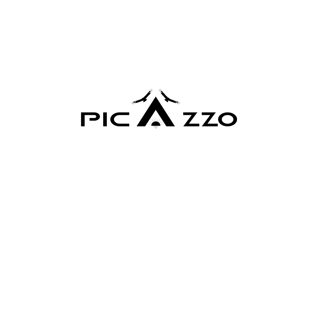PICAZZO logo in black on a transparent background