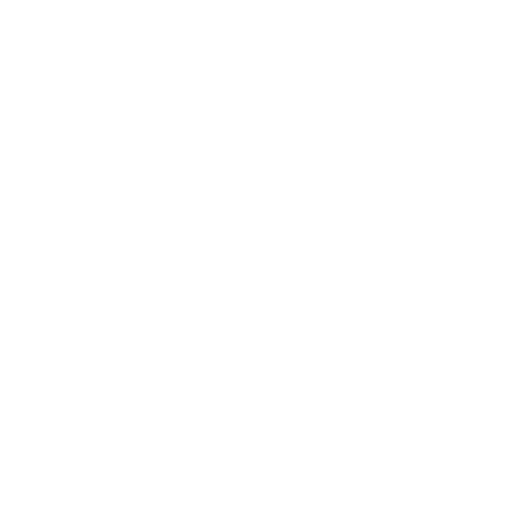 PICAZZO logo in white on a transparent background